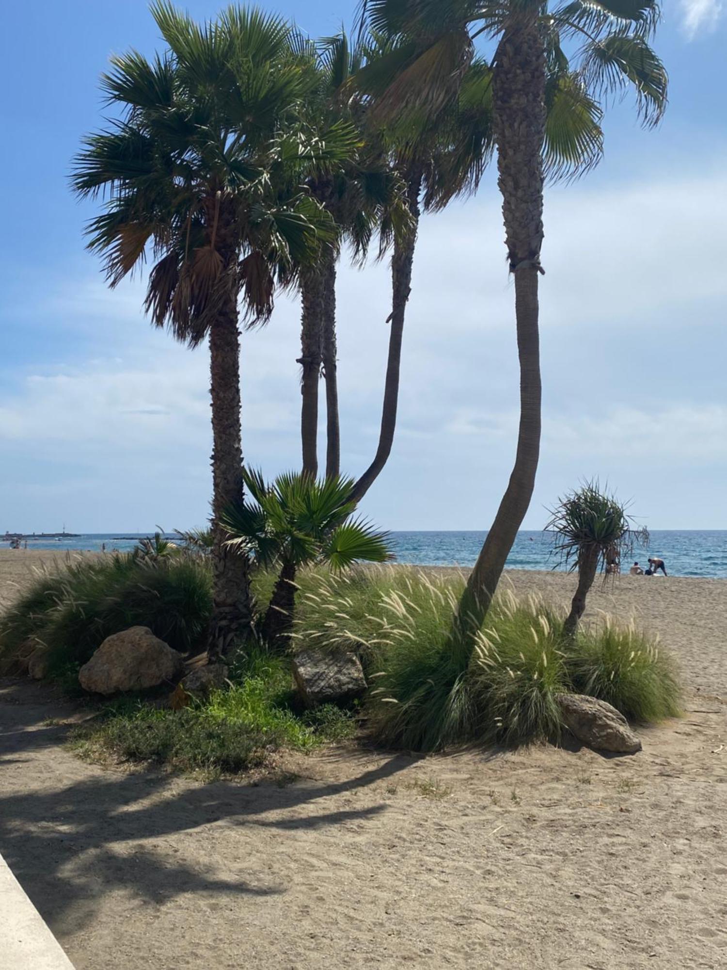 Almeria Playa Zapillo Extérieur photo
